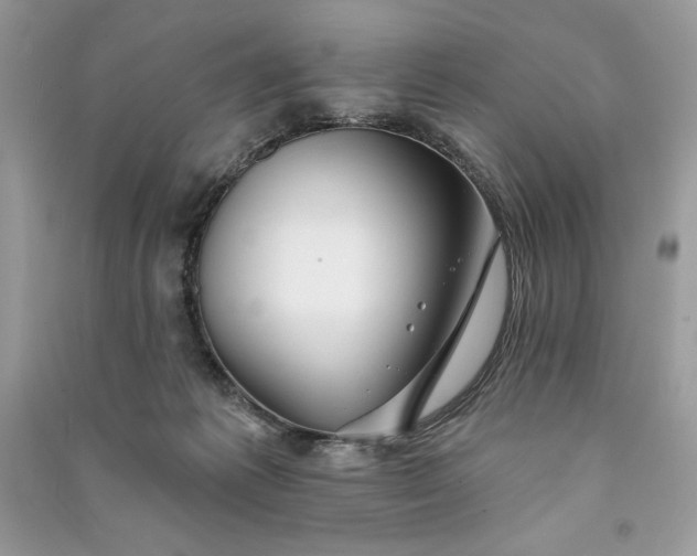 X0000090870221200708101340