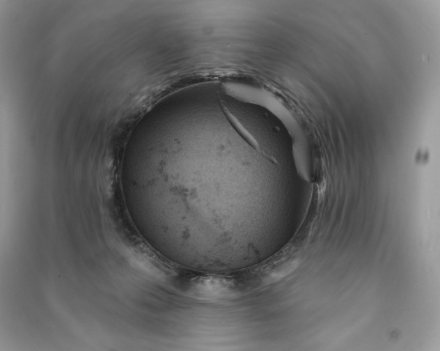 X0000090870223200708101340