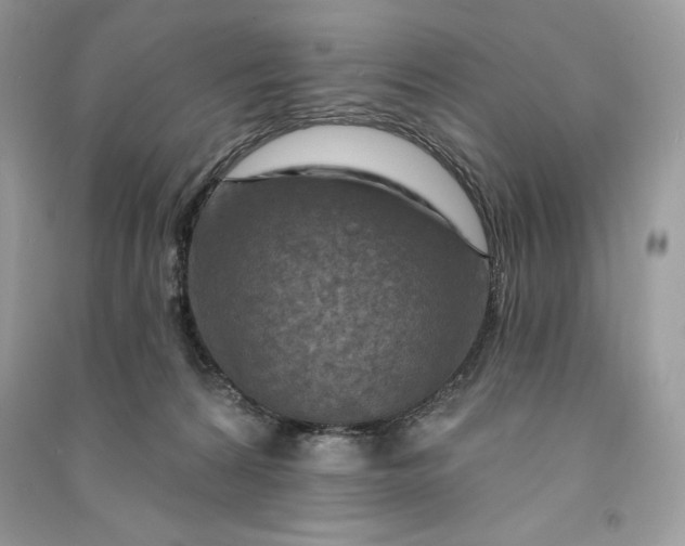 X0000090870224200708101340