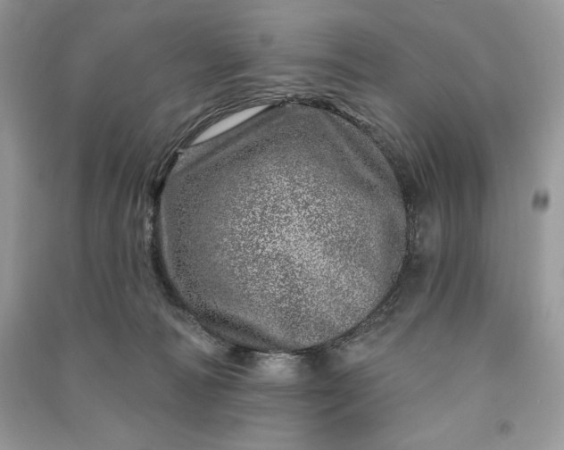 X0000090870226200708101340