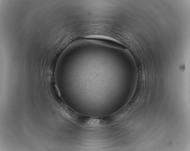 X0000090870227200708101340