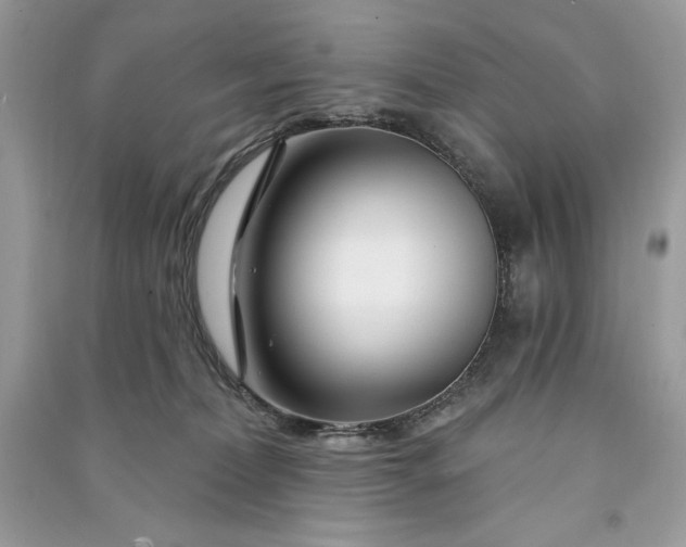 X0000090870228200708101340