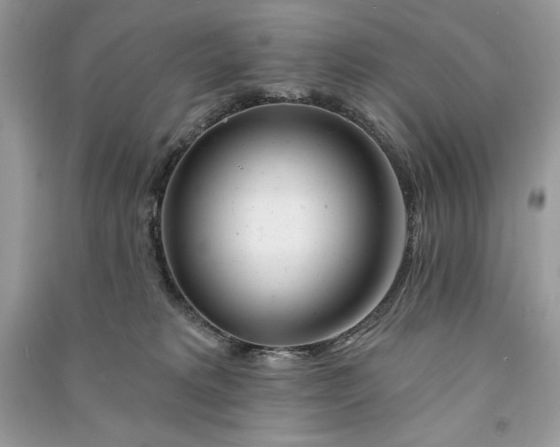 X0000090870229200708101340