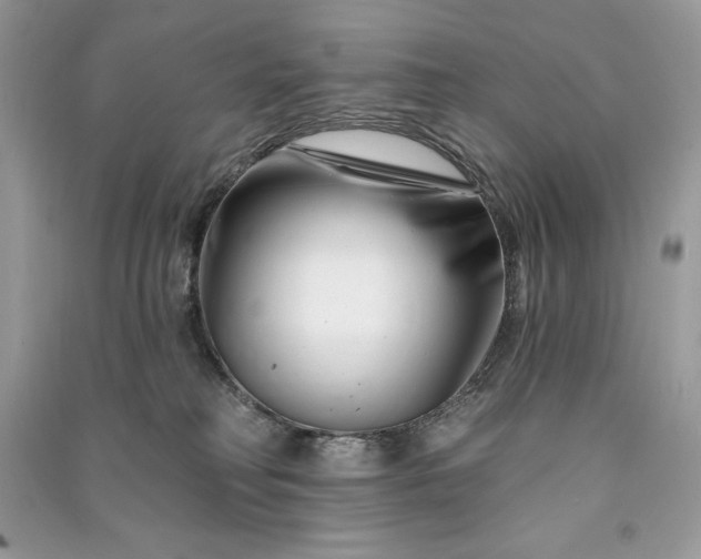 X0000090870230200708101340