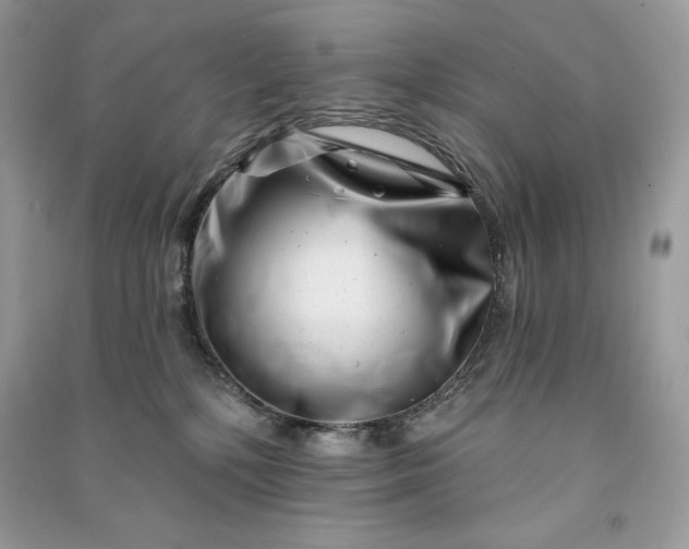 X0000090870232200708101340