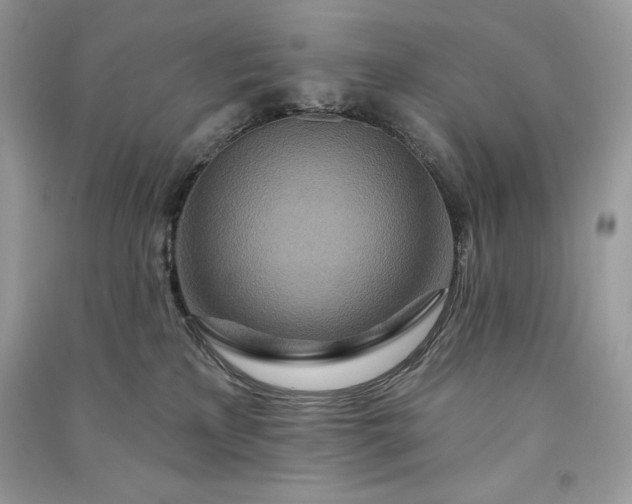 X0000090870233200708101340