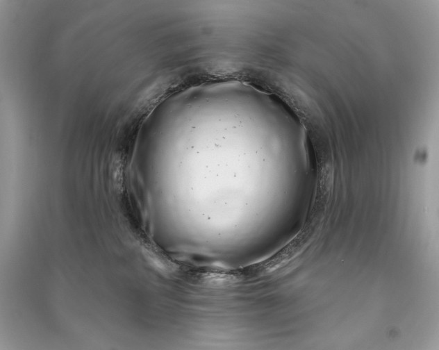 X0000090870234200708101340