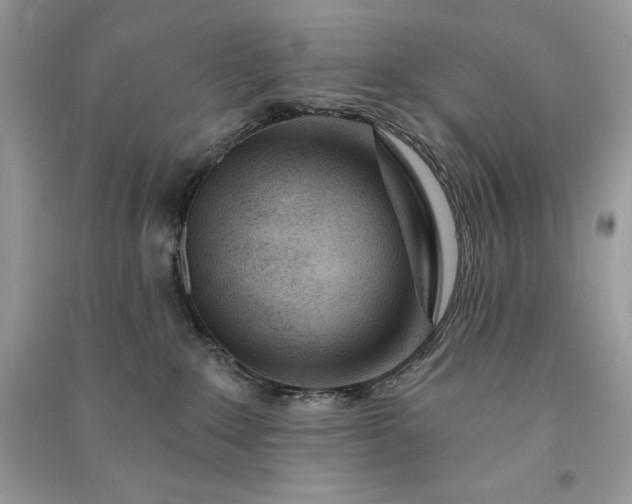 X0000090870235200708101340