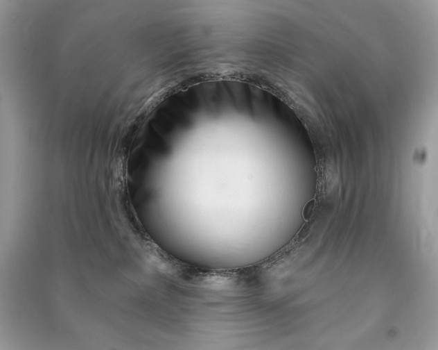 X0000090870236200708101340