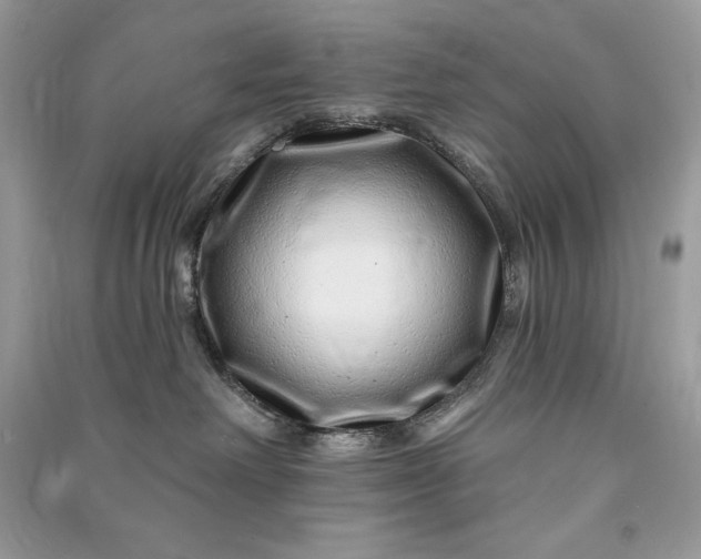 X0000090870238200708101340