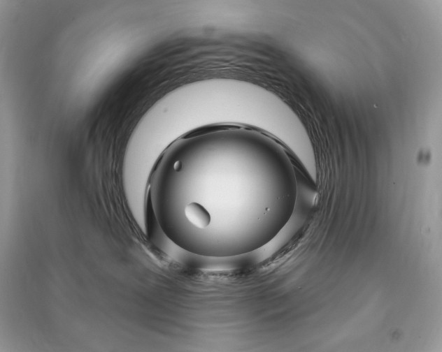 X0000090870239200708101340