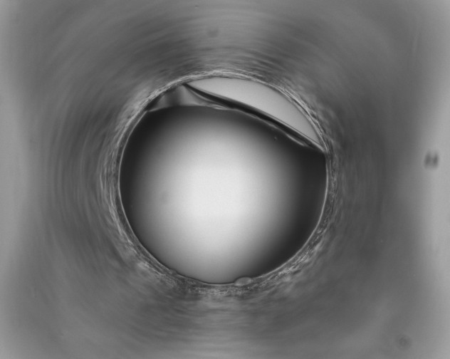 X0000090870241200708101339