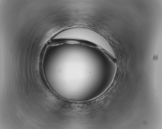 X0000090870242200708101339