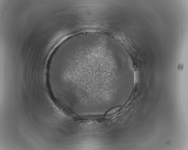 X0000090870243200708101339