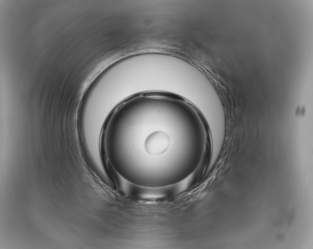 X0000090870244200708101339