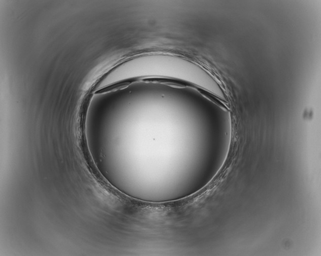 X0000090870245200708101339