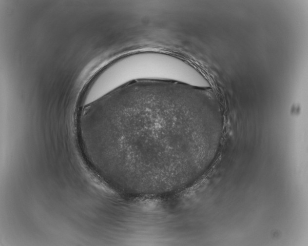 X0000090870247200708101339