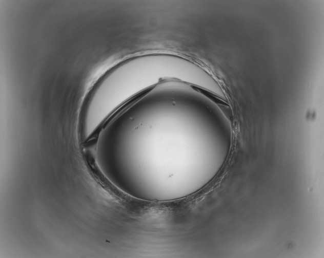 X0000090870248200708101339