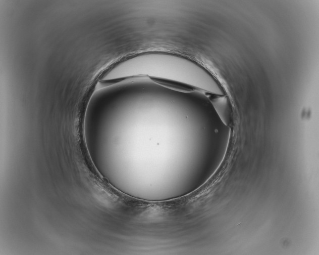 X0000090870249200708101339