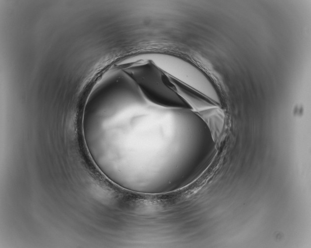 X0000090870250200708101339