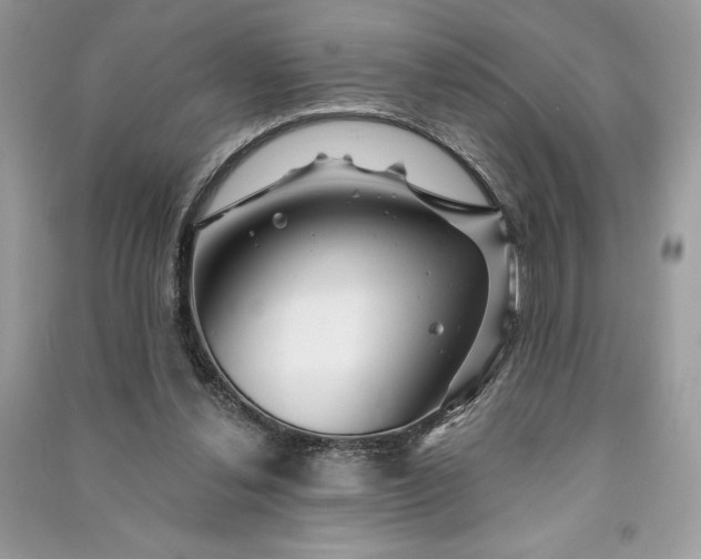 X0000090870252200708101339