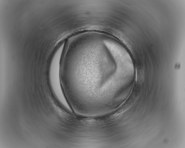 X0000090870253200708101339