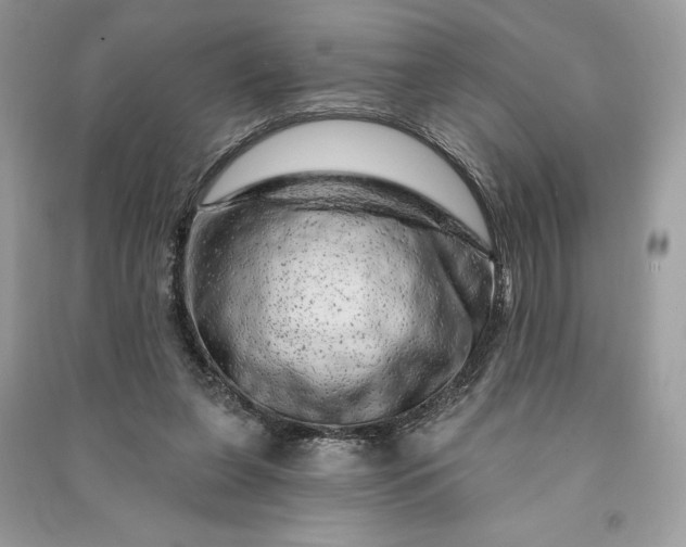 X0000090870255200708101340