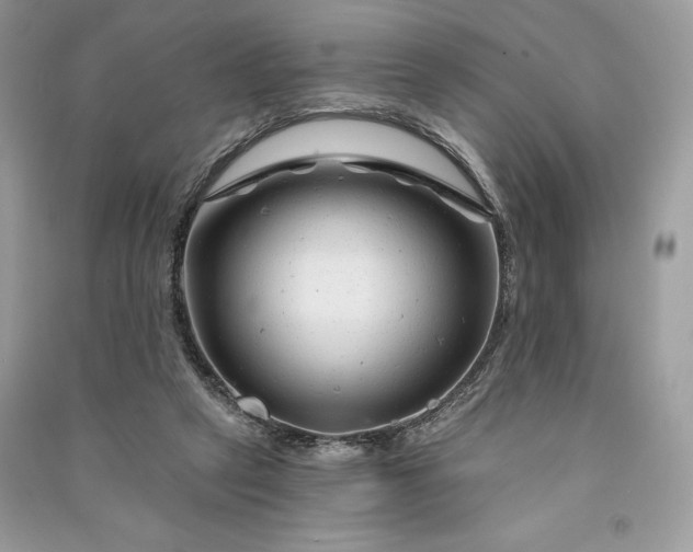 X0000090870257200708101340