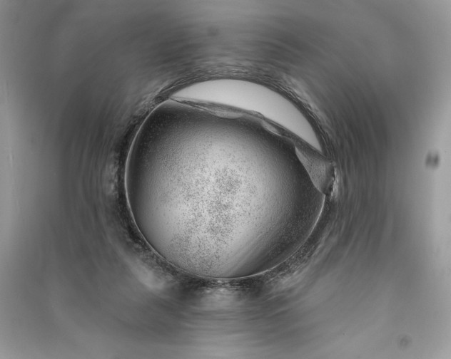 X0000090870259200708101340