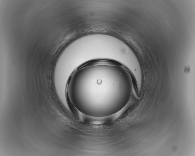 X0000090870260200708101340