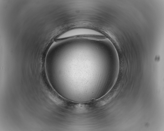 X0000090870261200708101340