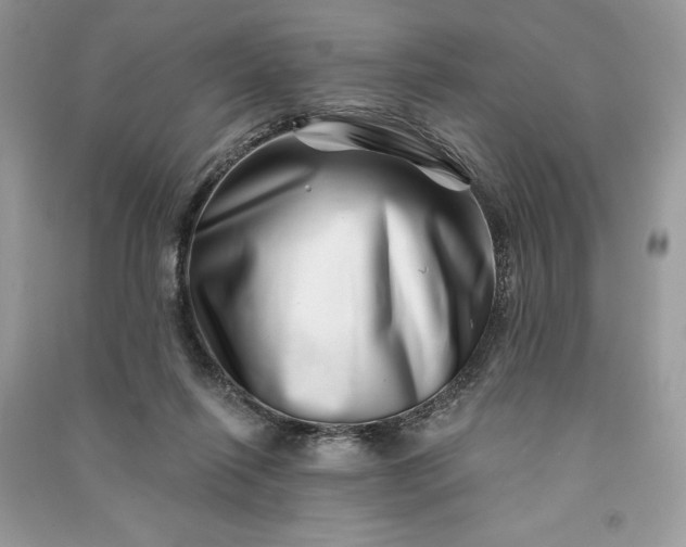 X0000090870262200708101340