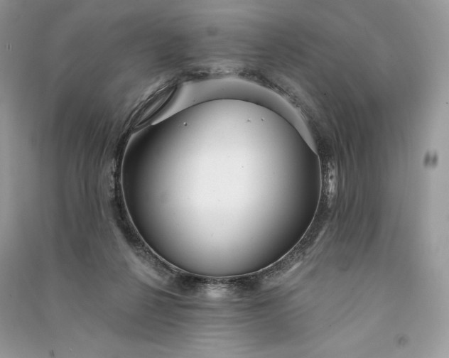 X0000090870264200708101340