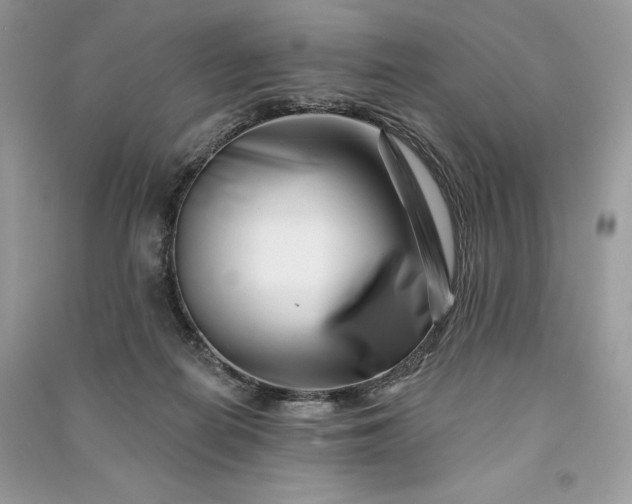 X0000090870266200708101340