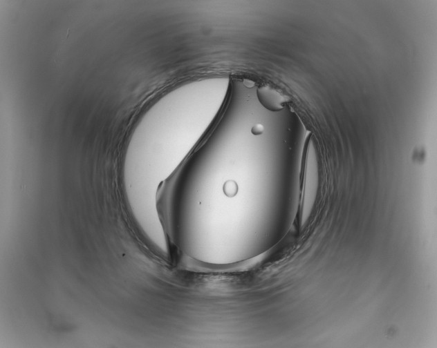 X0000090870268200708101340