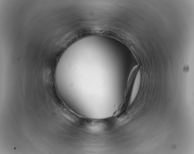 X0000090870270200708101340