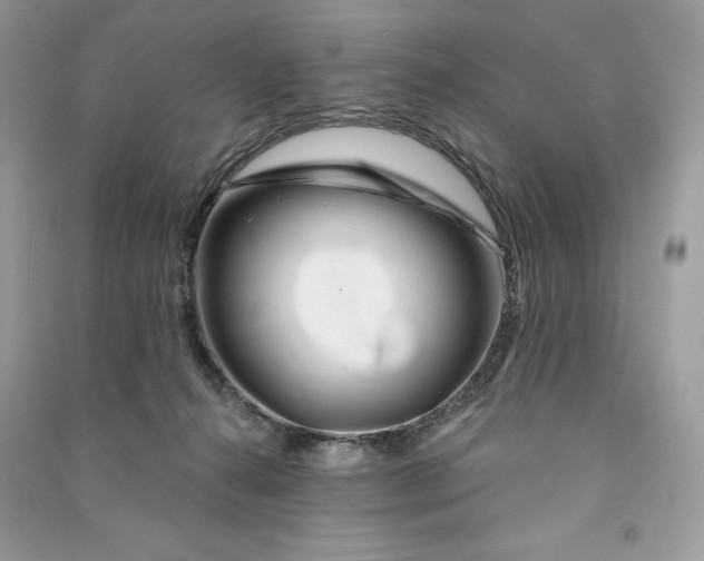 X0000090870272200708101340