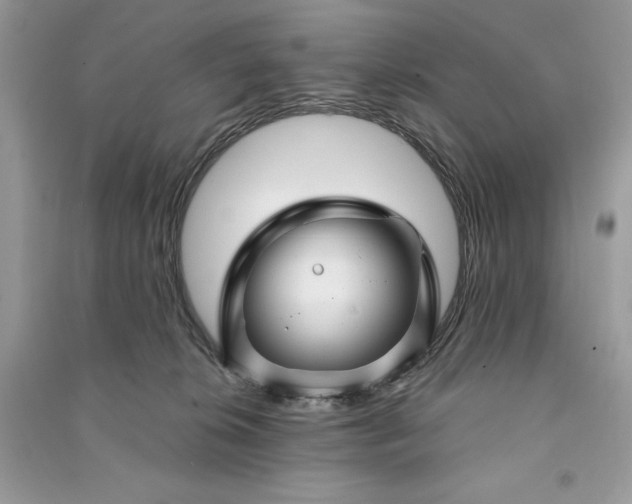 X0000090870276200708101340