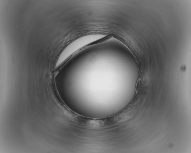 X0000090870277200708101340