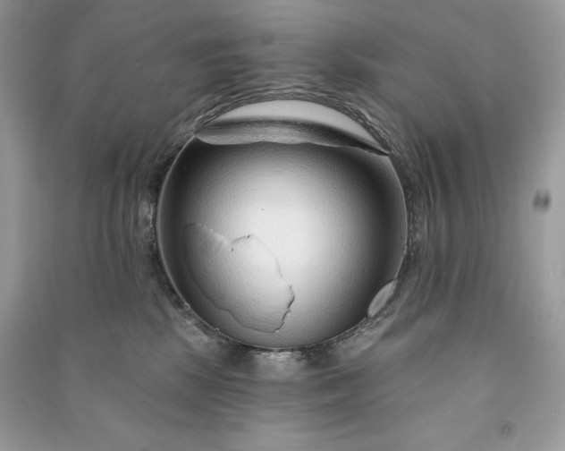 X0000090870281200708101340