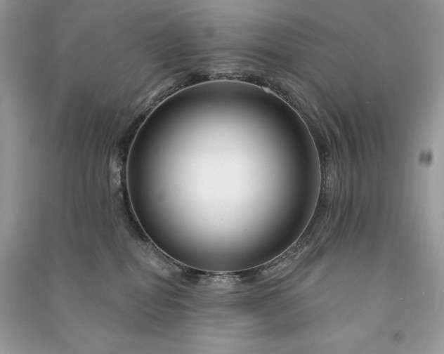 X0000090870282200708101340