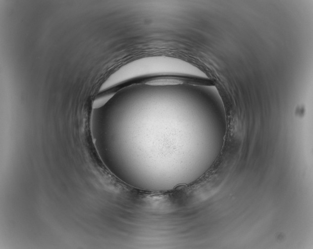 X0000090870283200708101340