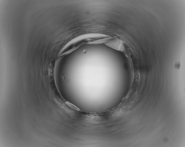 X0000090870284200708101340