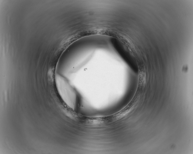 X0000090870286200708101340