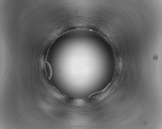 X0000090870287200708101340