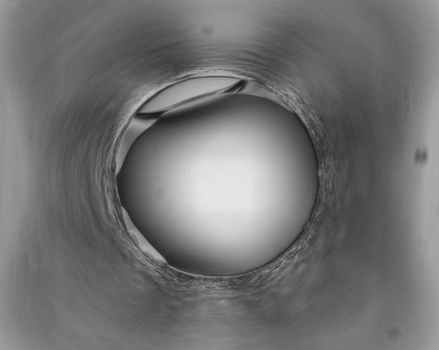 X0000090870289200708101339