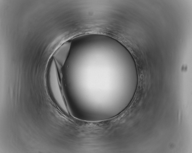 X0000090870290200708101339