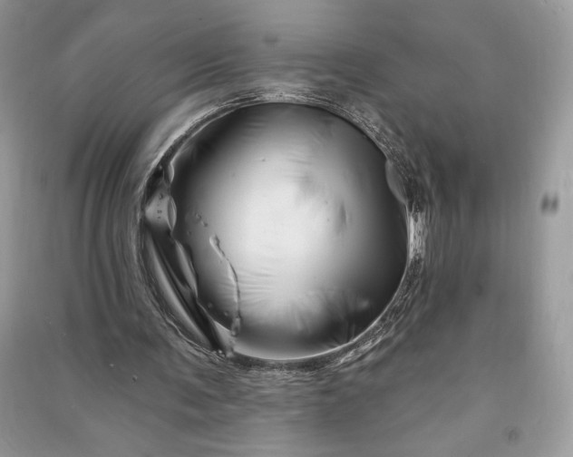 X0000090870291200708101339