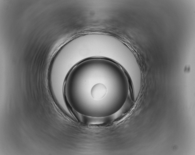 X0000090870293200708101339