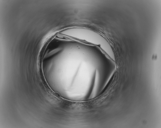 X0000090870294200708101339